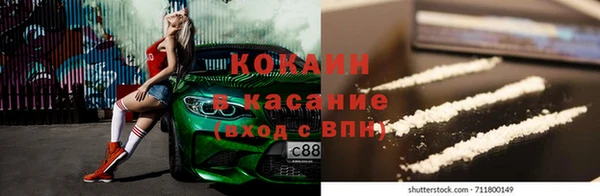 сатива Покров